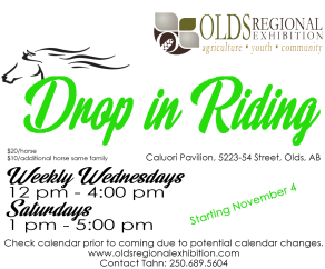A great location and opportunity to ride your horse on Wednesdays and Sundays.