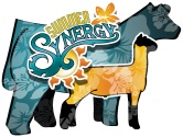 Summer Synergy Logo